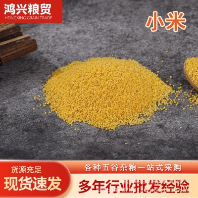 黄小米新米内蒙古赤峰农家月子小米粥粗粮小米 批发五谷杂粮图1