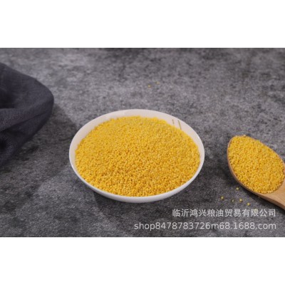 黄小米新米内蒙古赤峰农家月子小米粥粗粮小米 批发五谷杂粮图5