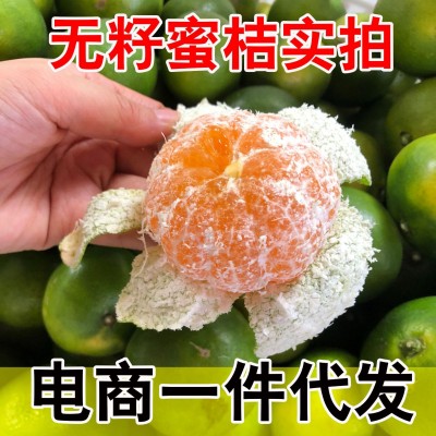 四川青皮蜜桔无籽蜜橘酸甜皮薄新鲜水果应季云南蜜桔早熟橘子批发图4