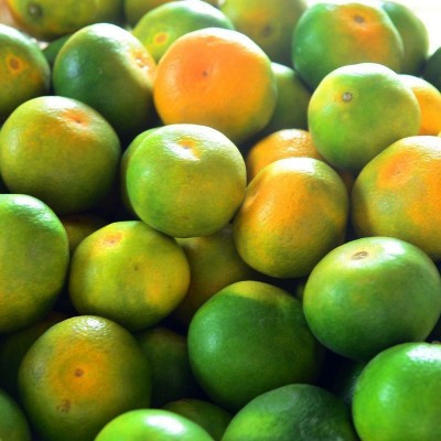 青皮蜜橘无籽蜜桔薄皮多汁新鲜应季早熟橘子桔子四川蜜橘批发蜜桔图3