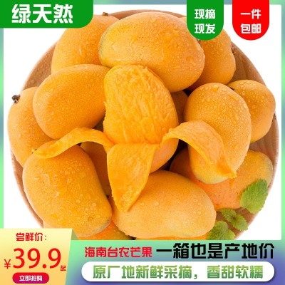 现摘海南小台芒整箱5斤包邮新鲜当季天然现摘台农大青芒一件代发图3
