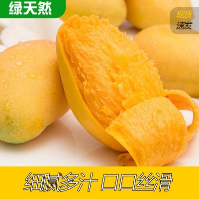 现摘海南小台芒整箱5斤包邮新鲜当季天然现摘台农大青芒一件代发图5