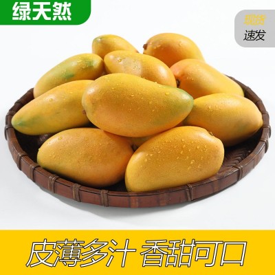 现摘海南小台芒整箱5斤包邮新鲜当季天然现摘台农大青芒一件代发图2