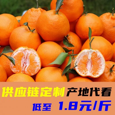四川耙耙柑不知火丑八卦供应链果园代看图5