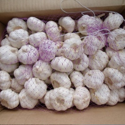 供应金乡大蒜 大蒜出口残次品2kg 28元 ，不影响使用，美观度欠，图4