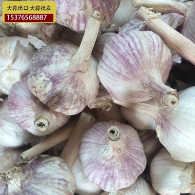 供应金乡大蒜 大蒜出口残次品2kg 28元 ，不影响使用，美观度欠，图2