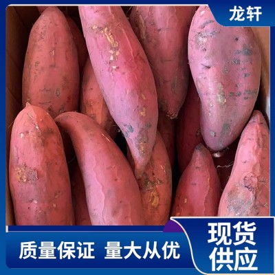 龙轩 今日正宗烟薯25 产地直发 烤薯店专用红薯图5