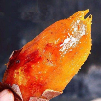 龙轩 高质量天然炭烤缸烤沙地口感新鲜 烟薯25 个大味美图4
