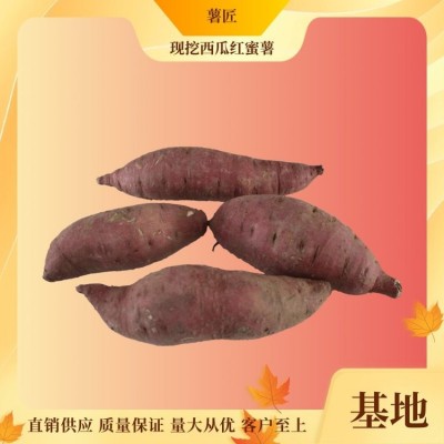 薯匠 基地直供 新鲜大果红薯 蒸煮烤制 糖心流油 甜蜜美味 甘薯批发图2