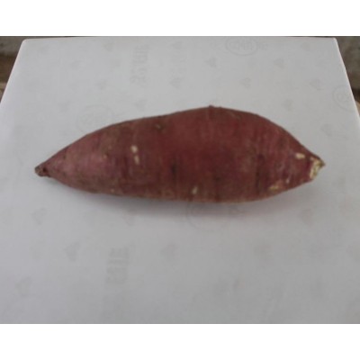 薯匠 基地直供 新鲜大果红薯 蒸煮烤制 糖心流油 甜蜜美味 甘薯批发图5