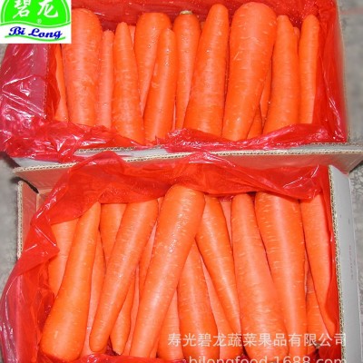 常年大量供应新季节新鲜胡萝卜出口标准厂家直供量大从优图3