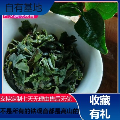 原产地供应清香型安溪铁观音茶叶批发 自有茶园基地 厂家直销图2