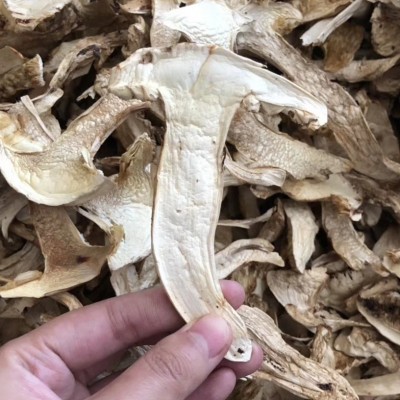 四川云南松茸干片规格齐全去皮带皮足干货月子孕妇食用菌淘宝货源图5