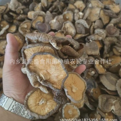河南西峡特产精品干香菇大厚菇 肉厚 无根人工手选工厂直发图3