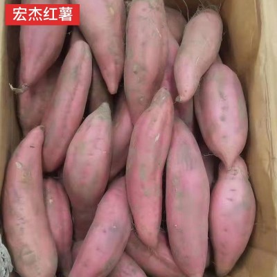 红薯批发雄县蜜薯糖心沙地西瓜红番薯地瓜烟薯25红心红薯产地直发图2