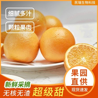 品牌水果送礼新品种橙子热恋橙基地现采现发甜橙改良冰糖橙十斤装图2