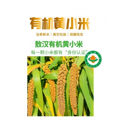 有机黄小米内蒙古敖汉旗产区优质黄小米500g/盒图3