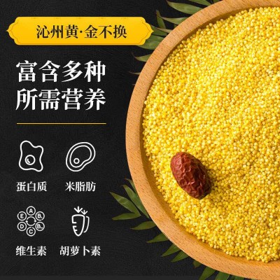 正宗原厂地次村牌沁州黄小米五谷杂粮真空装500克家庭食用黄小米图2
