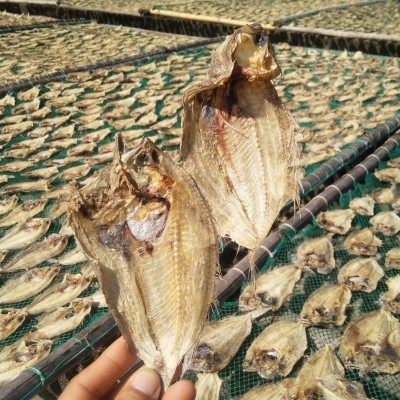 大地鱼干北海特产海鲜干货是铁脯鱼比目鱼干煲汤云吞调料滋补1斤图3