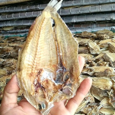 大地鱼干北海特产海鲜干货是铁脯鱼比目鱼干煲汤云吞调料滋补1斤图2
