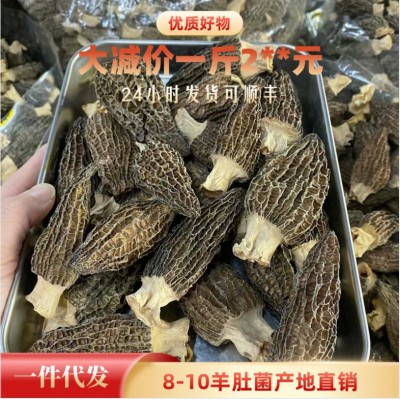 【羊肚菌】云南特产干羊肚菌散装头茬剪柄羊肚菌干货批发代发500g图1