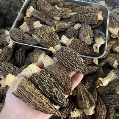【羊肚菌】云南特产干羊肚菌散装头茬剪柄羊肚菌干货批发代发500g图3
