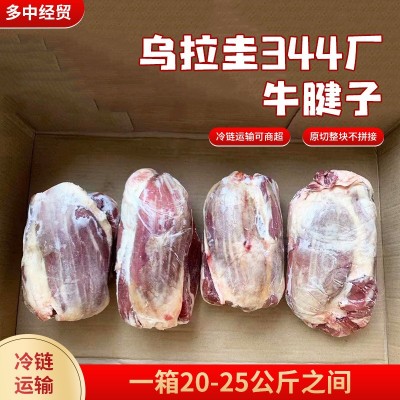 乌拉圭344厂牛腱子 新鲜冷冻原切牛腱子餐饮商用独立小包装腱子肉图2