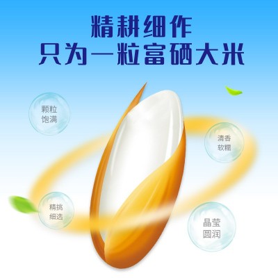 石台硒米5千克中硒科技富硒大米过节福利扶贫助农会销礼品批发米图3