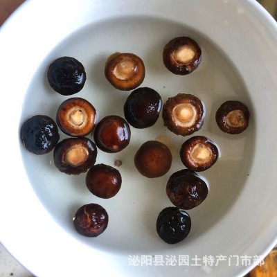 河南西峡香菇干货 椴木小花菇干货产地直批 500克一件代发冬菇图5