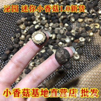 河南西峡香菇干货 椴木小花菇干货产地直批 500克一件代发冬菇图1