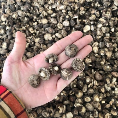 小香菇干货冬菇蘑菇西峡产地批发常年供应500g南北干货可一件代发图3