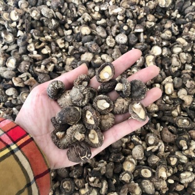 小香菇干货冬菇蘑菇西峡产地批发常年供应500g南北干货可一件代发图4