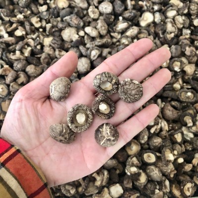小香菇干货冬菇蘑菇西峡产地批发常年供应500g南北干货可一件代发图2