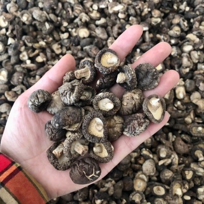 小香菇干货冬菇蘑菇西峡产地批发常年供应500g南北干货可一件代发图5
