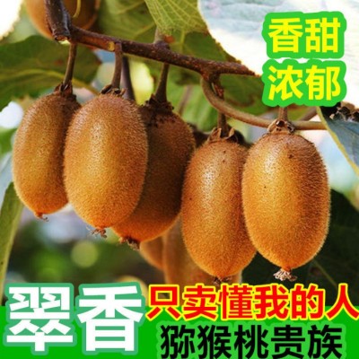 陕西正宗翠香猕猴桃绿心奇异果30颗24颗包邮新鲜应季孕妇 水果代发图1