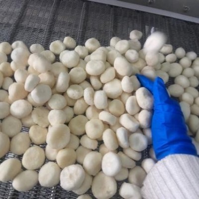 厂家直供速冻马蹄粒荸荠粒整粒速冻果蔬量大质优图2