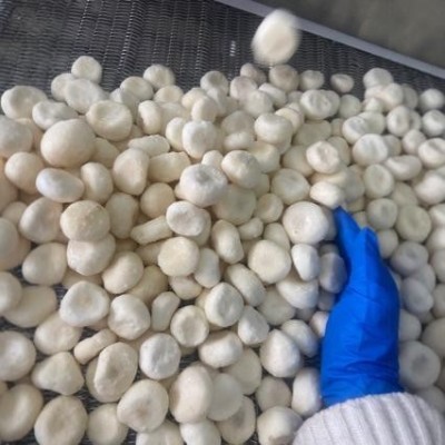 厂家直供速冻马蹄粒荸荠粒整粒速冻果蔬量大质优图3