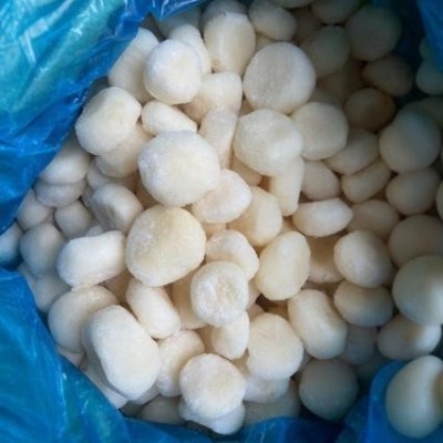厂家直供速冻马蹄粒荸荠粒整粒速冻果蔬量大质优图4