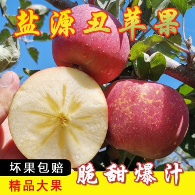 丑苹果新鲜水果四川大凉山盐源冰糖心当季红苹果一箱包邮整 箱代发图3