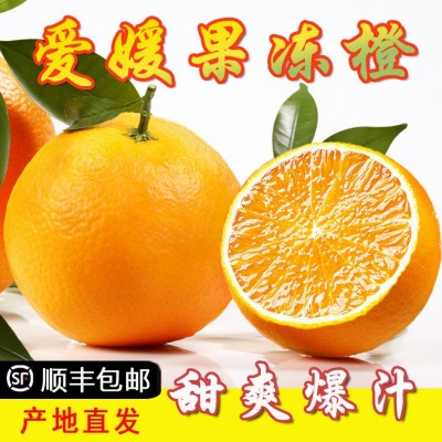 爱媛果冻橙38号爆汁橙子当季新鲜水果皮薄橘子包邮产地直 发整箱超