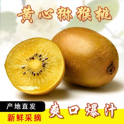 四川蒲江黄心猕猴桃新鲜水果直发当季整箱奇异果超甜产地包 邮直发