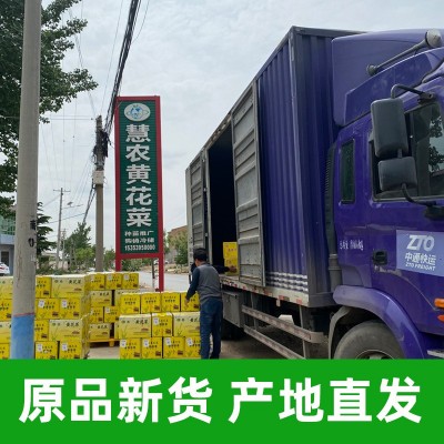 黄花菜箱装20斤自然晾晒黄花菜干货产地现货批发餐饮景区可用图4