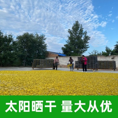 黄花菜箱装20斤自然晾晒黄花菜干货产地现货批发餐饮景区可用图3