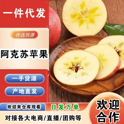 新疆阿克苏冰糖心苹果新鲜水果当季整箱应季丑苹果红富士一件代发图1
