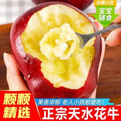 甘肃天水花牛苹果粉面沙甜新鲜水果整箱包邮当季红蛇果 一 件代发图2