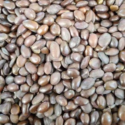 贵州野生皂角米雪莲子无硫过检双荚中籽手工去皮产地直销图2
