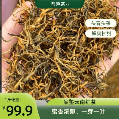 云南红茶蜜香金丝滇红散茶厂家直供现货批发网红同款茶叶图2