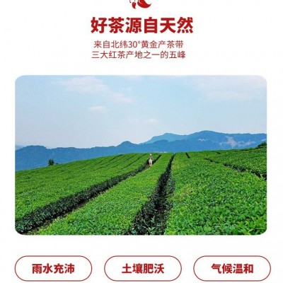 茶叶礼品250g批发叶溢香红茶厂家批发红茶袋装2024图3