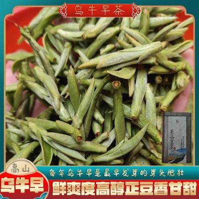明前龙井43遂昌豆香板栗香扁型茶叶黄版新茶浙南茶叶高山茶乌牛早图4