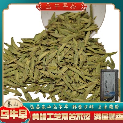 明前龙井43遂昌豆香板栗香扁型茶叶黄版新茶浙南茶叶高山茶乌牛早图2